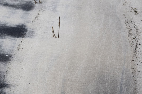 Platz 6 mit 96 Punkten: Sand-Strand - Ort: Sylt - Foto: Dagmar Esfandiari