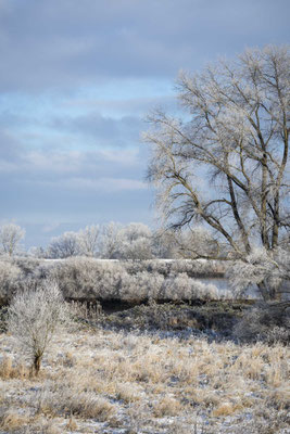 Wintereinbruch - Foto: Holger Tobuschat