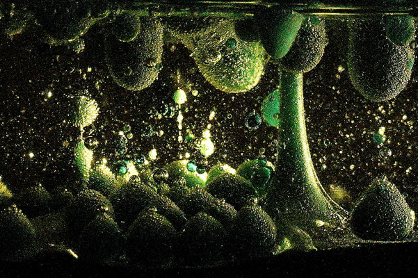 Fotoexperiment mit Wasser, Öl und Farbe - Foto: Willi Heinsohn