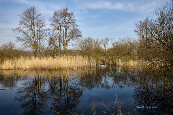 Im Duvenstedter Brook - Foto: Pertti Raunto