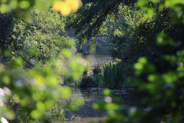 Durchblick in Neuwiedenthal  - Foto: Volker Svensson