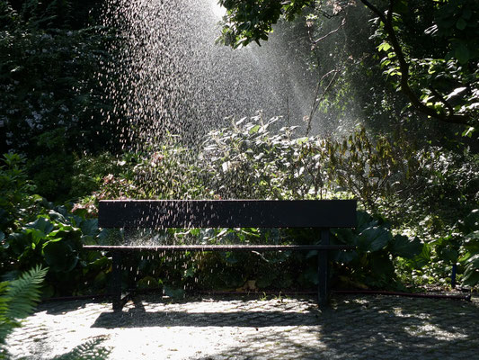 Endlich Regen - Ort: Planten un Blomen - Foto: Susannen Otto