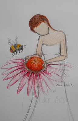 Echinacea - Juni 2023