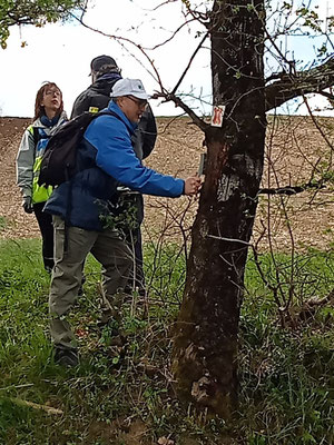 Laugnac 09/04/2024