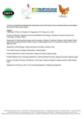 Los efectos positivos de Nutro Meat y sus ingredientes en los pollos de engorde - Investigación científica y práctica - página 4
