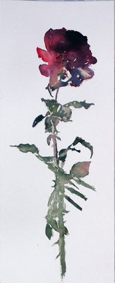 Rosa. 16x39 cm. Acuarela sobre papel Arches. 90 €.