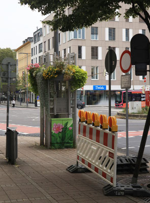 Wieder festen Koblenz-Boden unter den Füßen