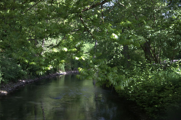 Dann lassen wir uns von der Schönheit des weitläufigen Parks einfangen.