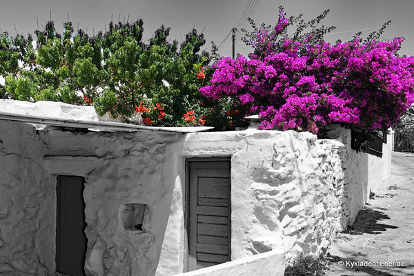 Sifnos Agia Anna