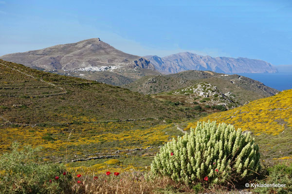 Amorgos
