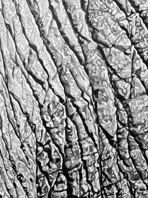 Sous tes yeux, dessin au crayon graphite, Capucine MINOT, 2025