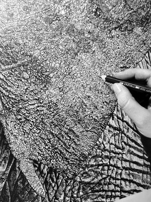 Sous tes yeux, dessin au crayon graphite, Capucine MINOT, 2025
