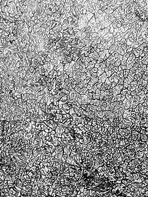 Sous tes yeux, dessin au crayon graphite, Capucine MINOT, 2025