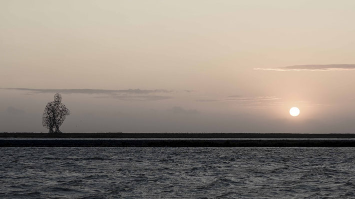 Exposure two, Lelystad.