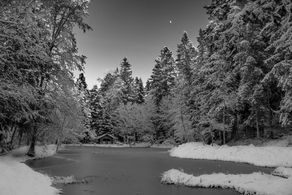 Aspisee mit zunehmendem Mond.