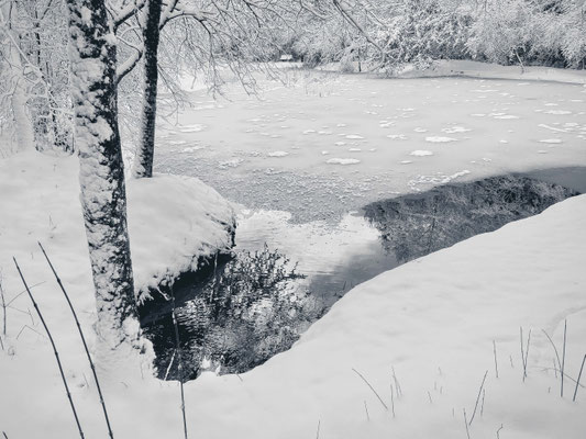 Aspisee im Januar.