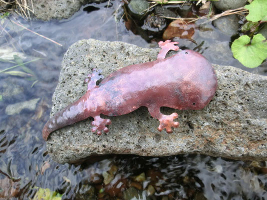 オオサンショウウオ　ブローチ