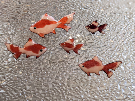 金魚