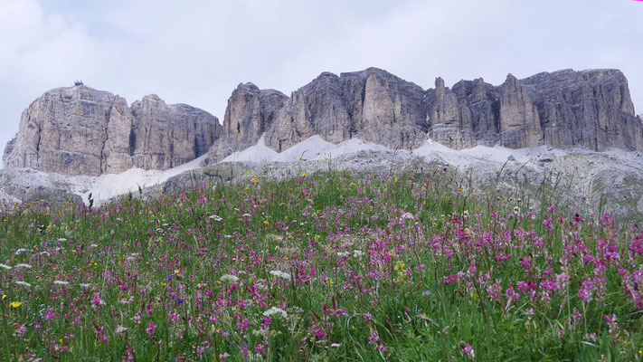 Italien, Blumenwiese am Pordoijoch