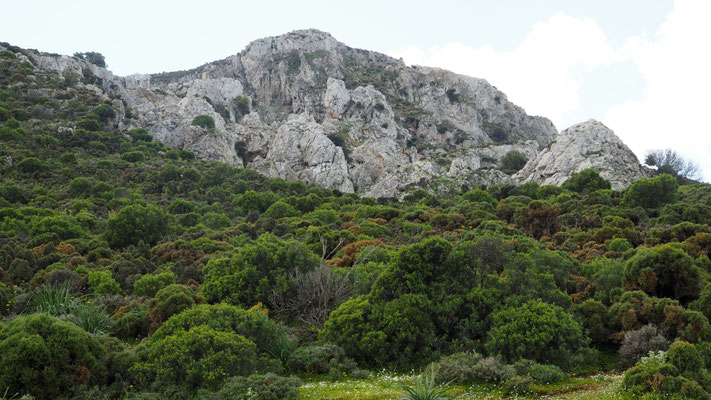 Am Weg zur Agios Georgios