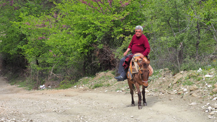 Albanien