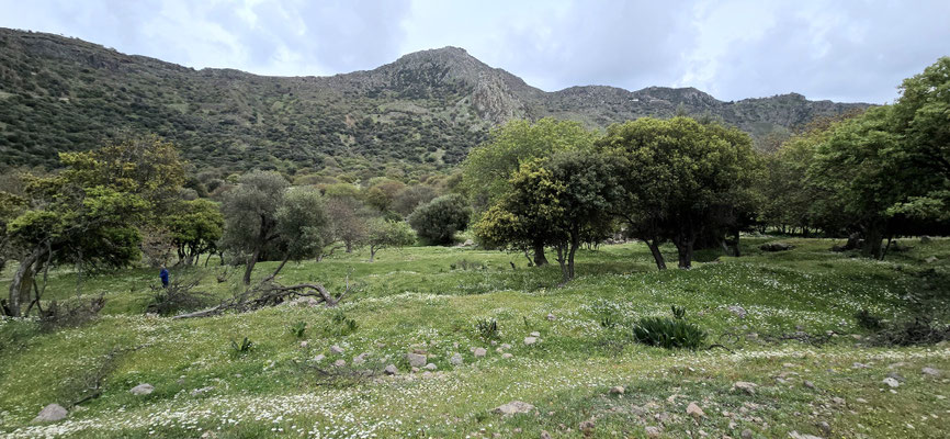 in der Caldera wird Landwirtschaft und Viehhaltung betrieben