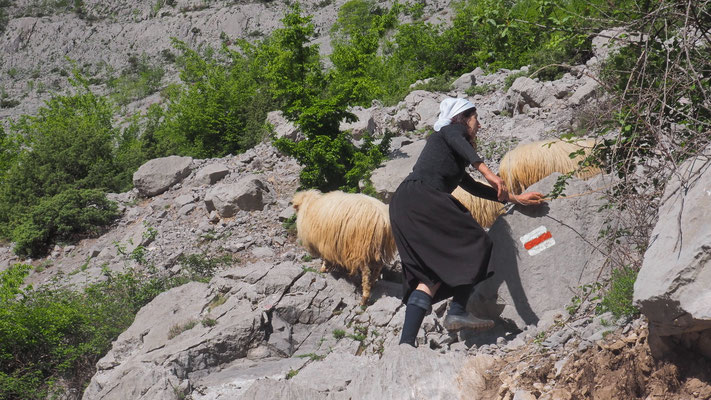 Albanien, Schafhirtin