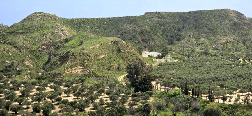 der Ausblick vom Castle zu den Olivenhainen