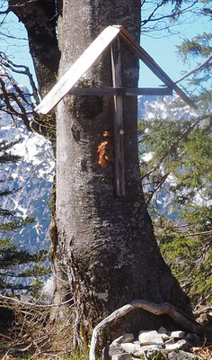Schneiderberg, Oberösterreich (Totes Gebirge)