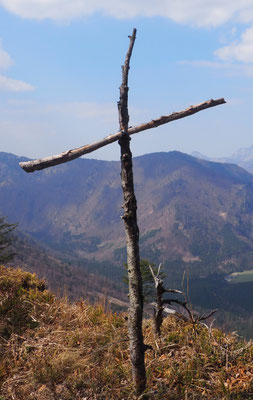 Schwereck, Oberösterreich (Oberösterreichische Voralpen)