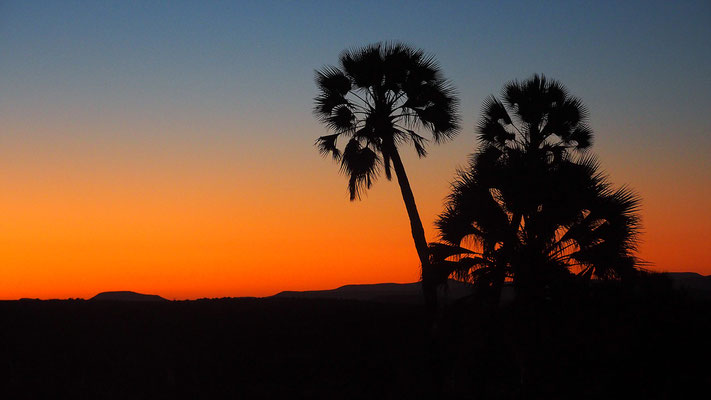 Sonnenuntergang in Palmwag