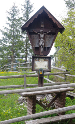 Hochbärneck Vorgipfel, Niederösterreich (Türnitzer Alpen)