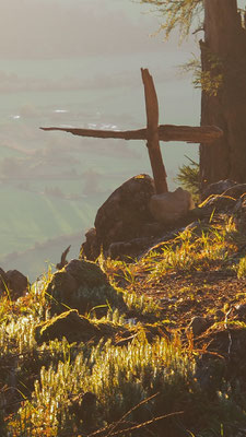 Himbeerstein, Steiermark (Gesäuseberge)