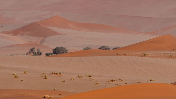 wunderschöne Dünenlandschaft der Namib