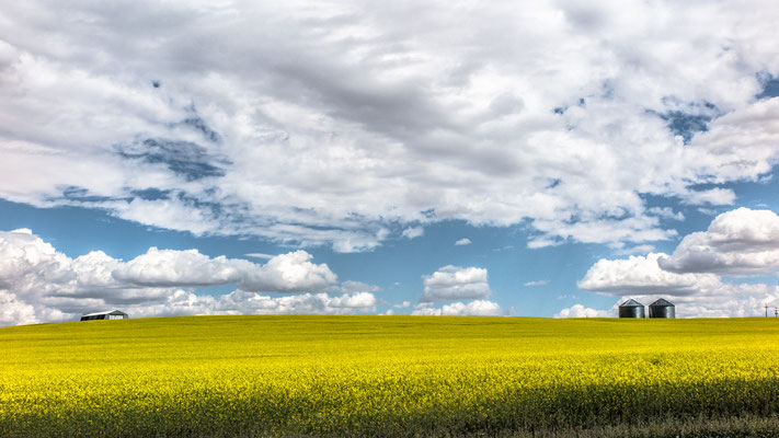 The Big Sky I, HWY 89, Montana