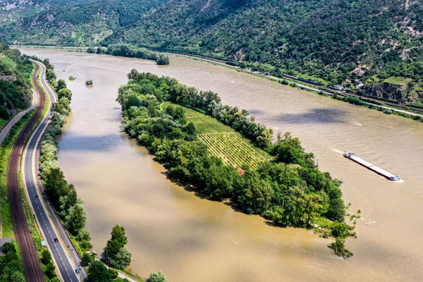 Bacharacher Werth, Wineyard, Bacharach, Rhine River Valley, Germany