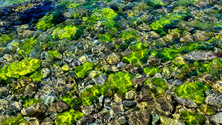 Ballydonegan Bay, Detail, near Allihies, Beara, County Kerry, Ireland