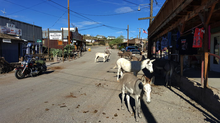 Main road, Oatman, Route 66, Arizona