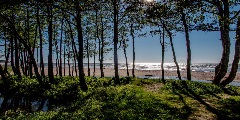 the Baltic Shore, near Liejpaja, Latvia