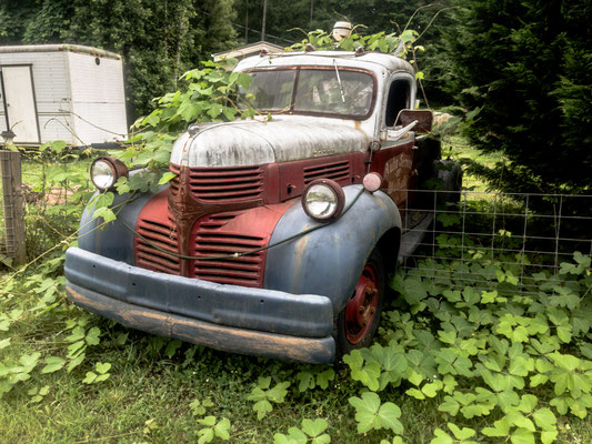 "A Leftover", Lake Lure, North Carolina