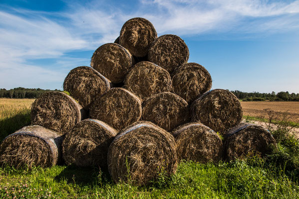 Haystacks, Ruba Pagasts, Latvia