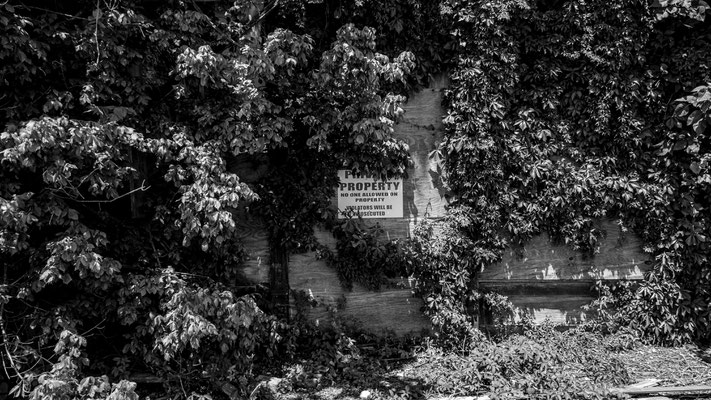 Remains of the Bryant´s Grocery, Money, Mississippi