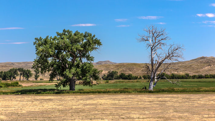 "New and Old", near Leiter, Wyoming