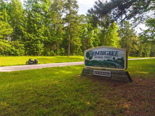 Tombigee National Forest, Natchez Trace Parkway, Mississippi