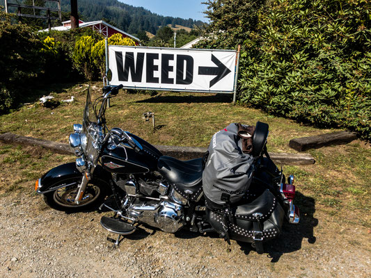 " got Weed?", Oregon-California Border