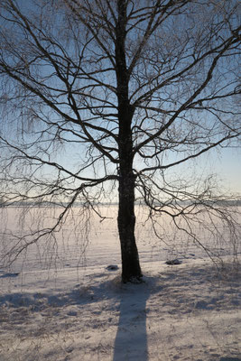 Winter in Ezere Pagasts, Kurzeme, Latvia