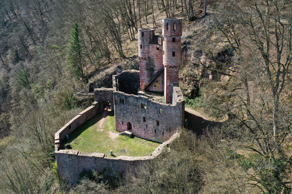 Burg Schwalbennest, Neckarsteinach, Germany
