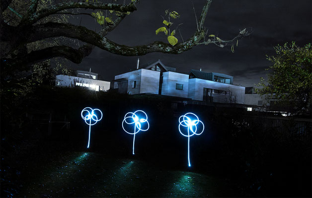 Krieg David - Leuchtblumen