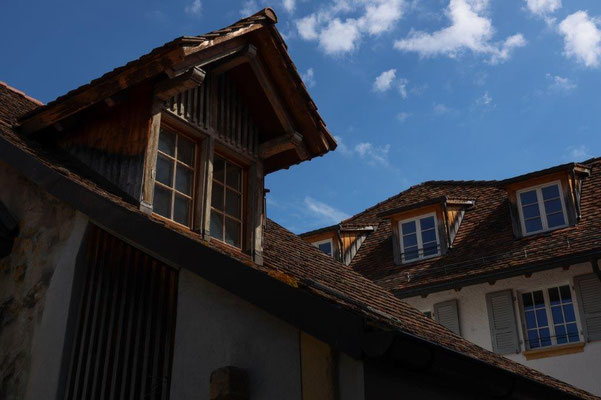 Foto: Jaime Abrunhosa