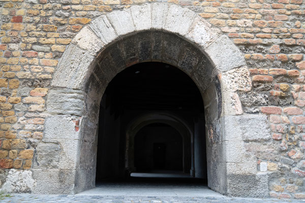 4-2   Dahinden Fredy